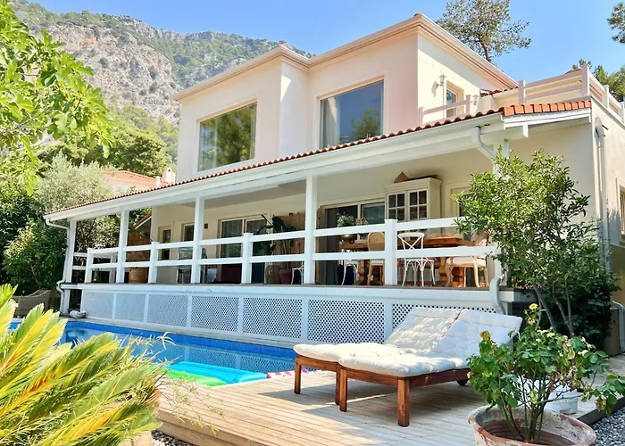 别墅 Storm - Very Stylish W/pool & Garden In Gocek Hills *